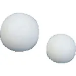 氟化学氟树脂（PTFE）带铁芯25.4φx19.05φ