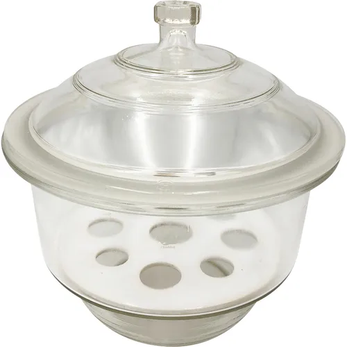 作为干燥器300