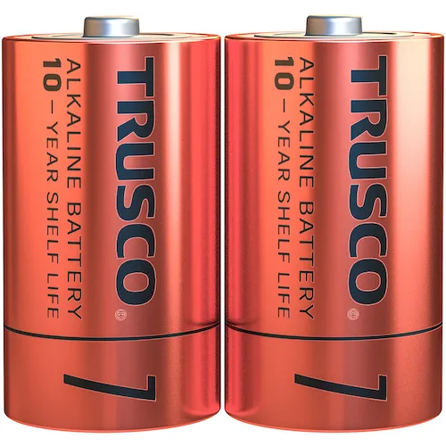 Trusco碱性干电池10年AA（2件）