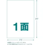 Trusco多标签贴纸A4 1侧100张标签标签尺寸210x297