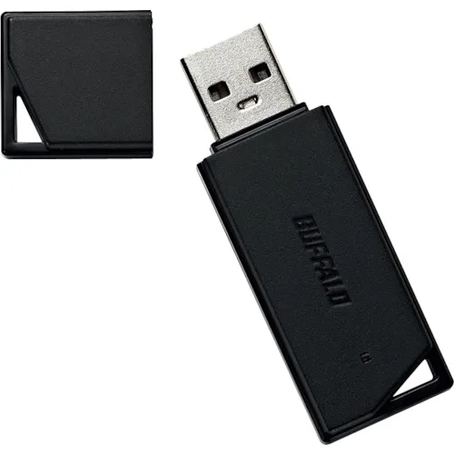 Buffalo USB 2.0两个USB内存64GB黑色