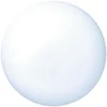 JTX 260452）颜色磁铁15mm白色10件B162J-W