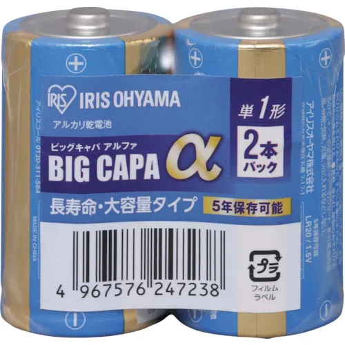 虹膜562106 AA碱性电池2件装