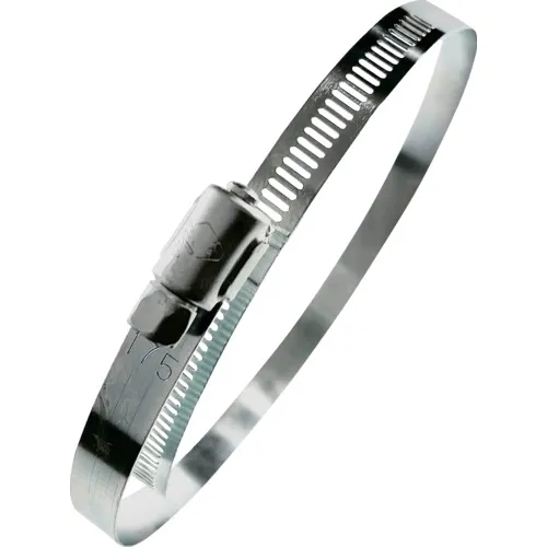 Seiho软管带高蠕虫13mm宽x 175mm（由铁制成）