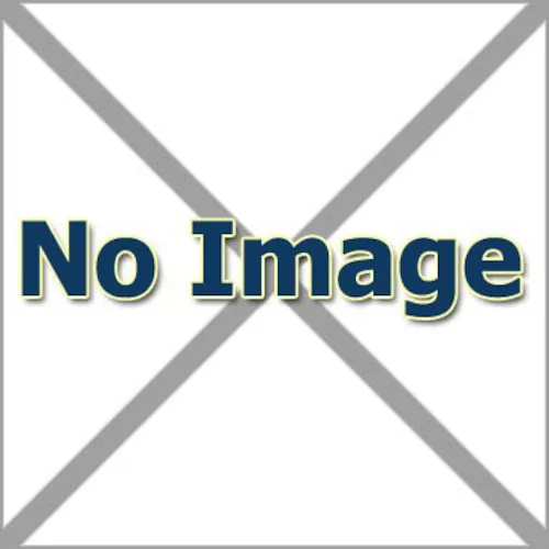Inaba IPREA主部单元，拨号锁，包括4个人，IPR-07-4P-DP OW