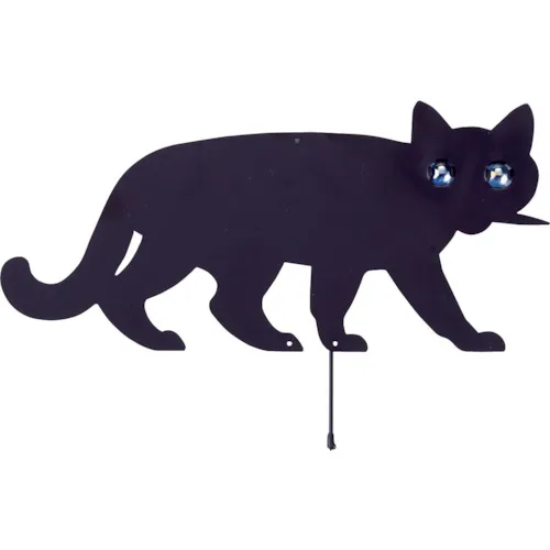 稳定的花园猫
