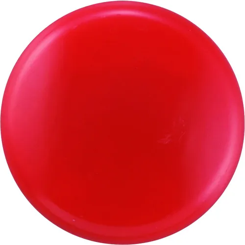 绿色十字彩色磁铁（按钮类型）红色magne 20（2/红色）20mmφ套件10