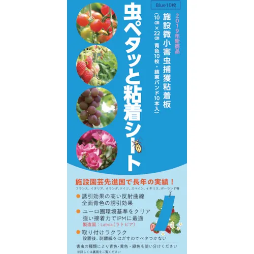 绿色布 - 粘合剂胶片，蓝色