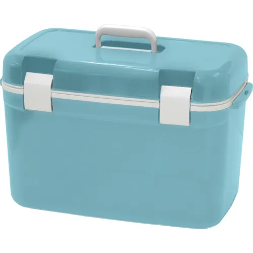 jej ustage冷却器盒森林船员35 Celadon Blue