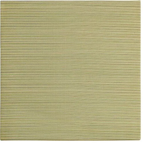 Hagiwara易于放置，轻量级，磨损，Tatami Mat，Ayakawa，绿色82 x 82 x 2.5