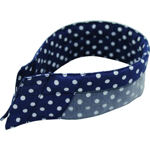 福库特库·埃里库尔（Fukutoku Ericooler Polka）