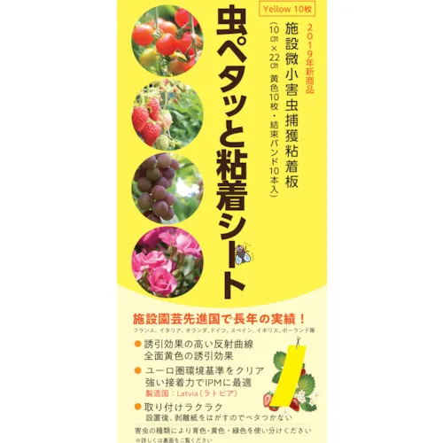 绿色布 - 粘合剂胶片黄色