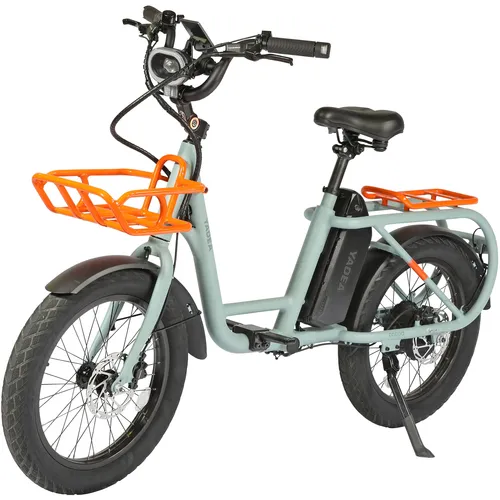 订购时需要的泽山川特异性小型自行车TRP-01T（BK）编号注册